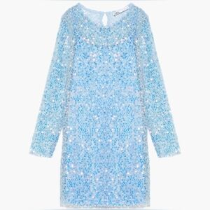 Zara Sequin Dress, S (worn once)